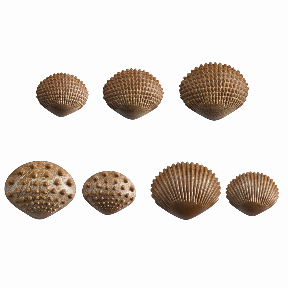 Tactile Shells - Image 3