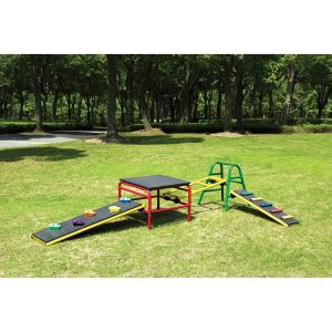5 Piece Gym Set