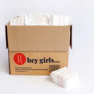 Daytime Period Pads Bulk P500