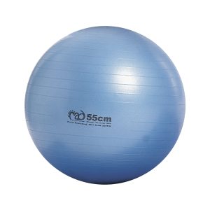 300kg Anti Burst Swiss Ball - 65cm