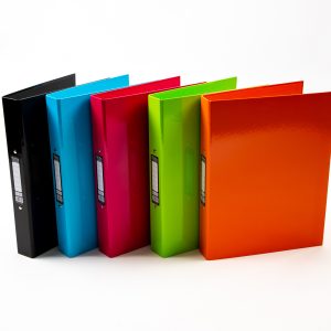 Pukka Ringbinder Files Assorted P10