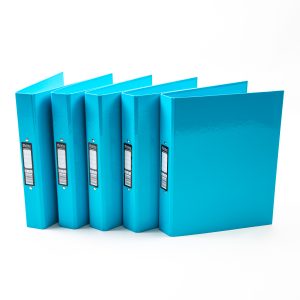 Pukka Ringbinder Files Blue P10