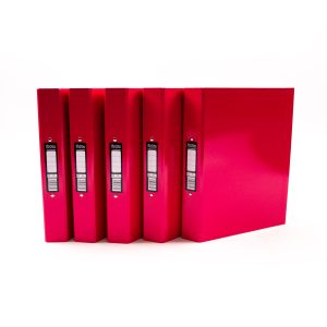 Pukka Ringbinder Files Pink P10
