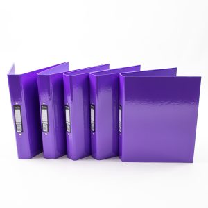 Pukka Ringbinder Files Purple P10