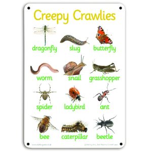 Creepy Crawlies Outdoor Board
