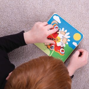 Life Cycle Layer Puzzle Butterfly