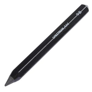 Spectrum Artist Graphite Chunky Sticks - 9B
