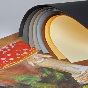 Tiziano Pastel Paper 650 x 500mm Assortment. Pack of 10
