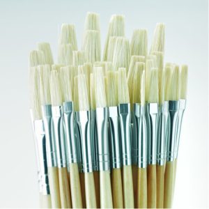 Student Short Handled Flat Hog Brush Bulk Pack. Pack of 45
