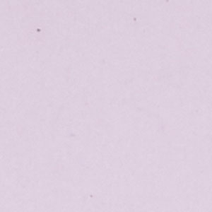 Vario Cast Acrylic Sheet - 1000 x 500 x 5mm - Honolulu Pink