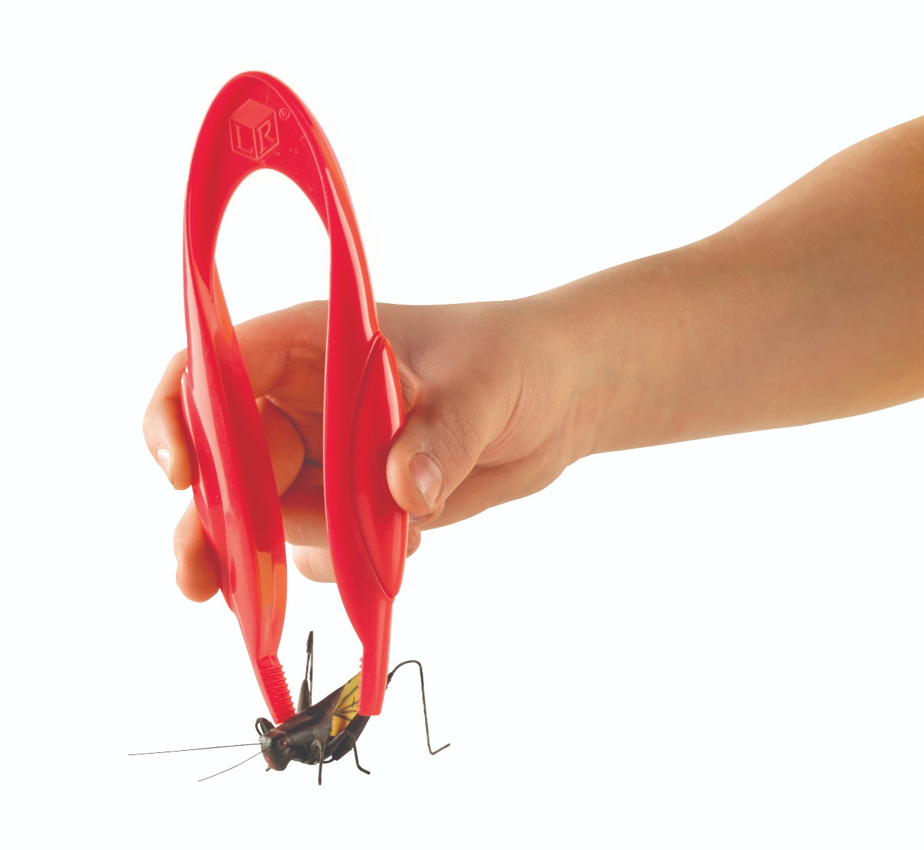 Jumbo Tweezers (12Pk) - Image 4