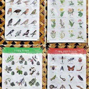 I Spy Showerproof Poster Set (4Pk)