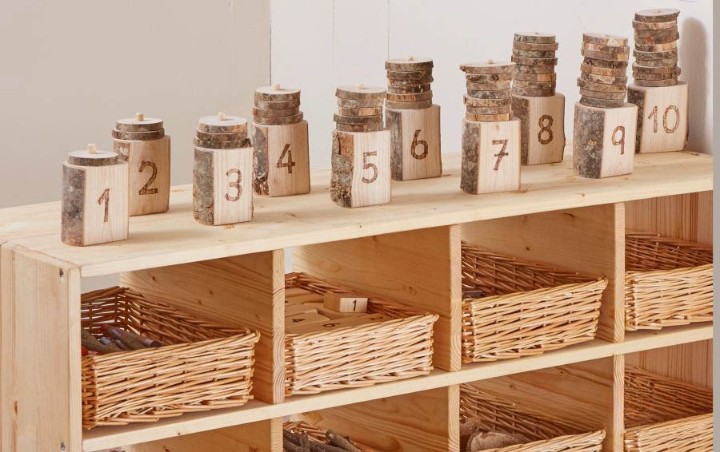 Counting Tree Rings | Eduspace Supplies