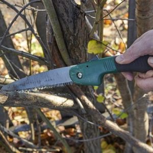 Folding Prune Saw