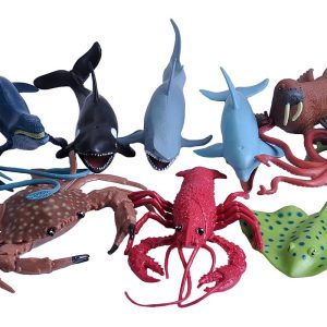 Sea And Ocean Set