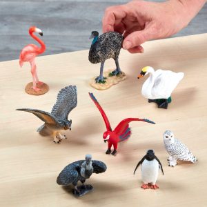 Wildlife Bird Set