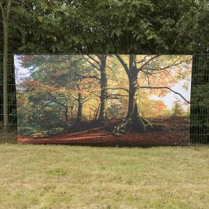 TTS Outdoor Immersive Environment Backdrop Autumn
