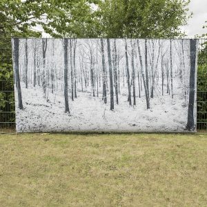 TTS Outdoor Immersive Environment Backdrop Winter