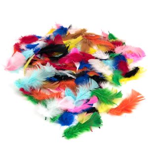 Brightly Coloured Feathers 28g