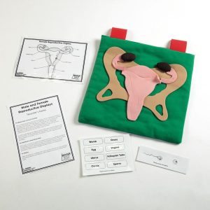 Reproductive Organ Display Vests