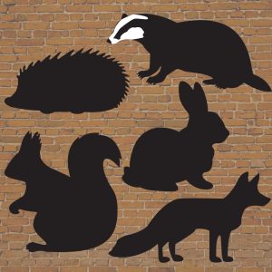 Woodland Animals Chalkboard - set of 5